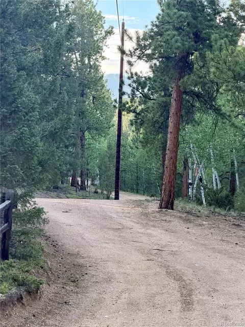 Other - 237 Road B, Pine, CO 80470 photo 20 of 20