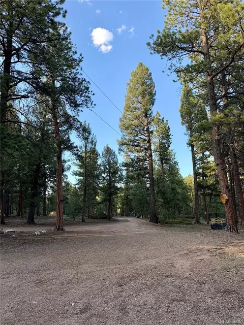Exterior - 237 Road B, Pine, CO 80470 photo 13 of 13
