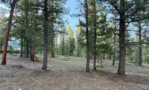 Exterior - 237 Road B, Pine, CO 80470 photo 11 of 13
