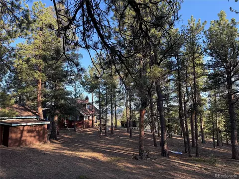 Exterior - 237 Road B, Pine, CO 80470 photo 12 of 13