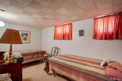 2332 Eudora St, Denver, CO 80207 photo 21