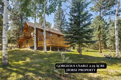Other - 1889 Burland Dr, Bailey, CO 80421 photo 2 of 25