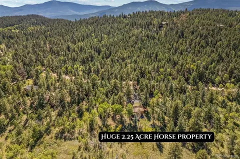Other - 1889 Burland Dr, Bailey, CO 80421 photo 21 of 25
