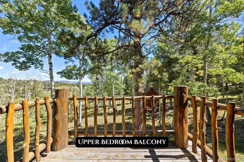 Other - 1889 Burland Dr, Bailey, CO 80421 photo 18 of 25