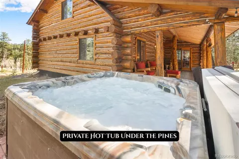 Other - 1889 Burland Dr, Bailey, CO 80421 photo 6 of 25