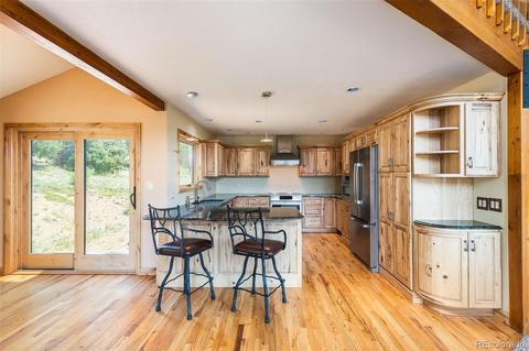 4260 County Road 43, Bailey, CO 80421 photo 5