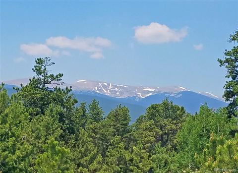 4260 County Road 43, Bailey, CO 80421 photo 2