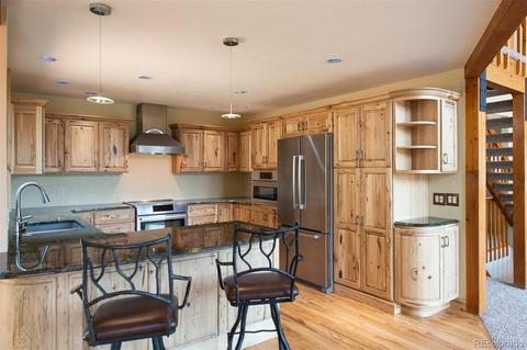 4260 County Road 43, Bailey, CO 80421 photo 9