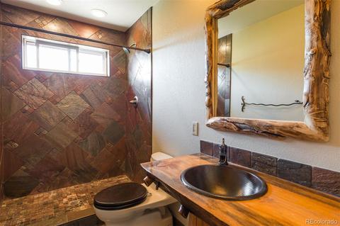 4260 County Road 43, Bailey, CO 80421 photo 20