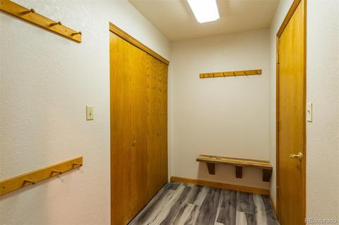 4260 County Road 43, Bailey, CO 80421 photo 29
