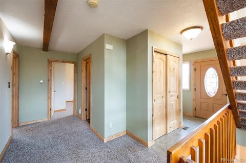 4260 County Road 43, Bailey, CO 80421 photo 23