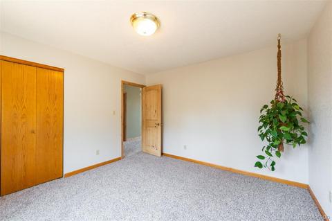 4260 County Road 43, Bailey, CO 80421 photo 22