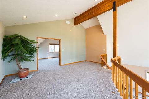 4260 County Road 43, Bailey, CO 80421 photo 24