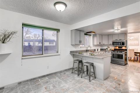 4091 E 115th Pl, Thornton, CO 80233 photo 6