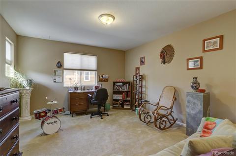11023 E 28th Pl, Denver, CO 80238 photo 21