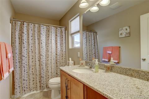 11023 E 28th Pl, Denver, CO 80238 photo 28
