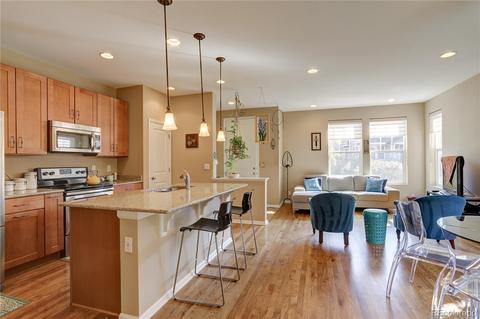 11023 E 28th Pl, Denver, CO 80238 photo 10