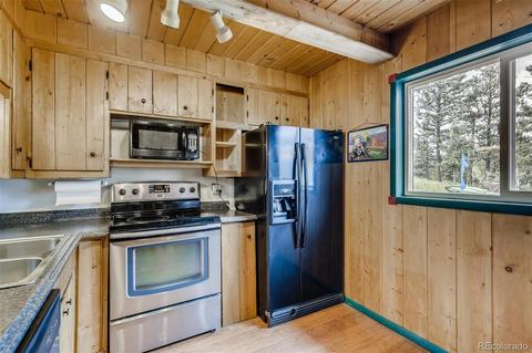488 Pine Dr, Bailey, CO 80421 photo 9