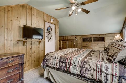 488 Pine Dr, Bailey, CO 80421 photo 16