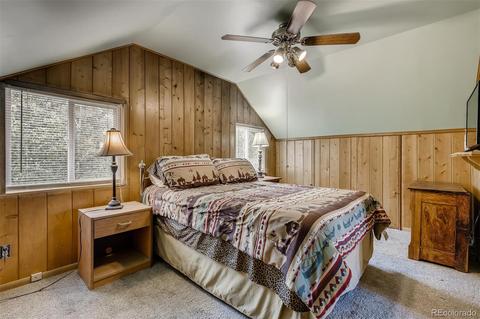 488 Pine Dr, Bailey, CO 80421 photo 14