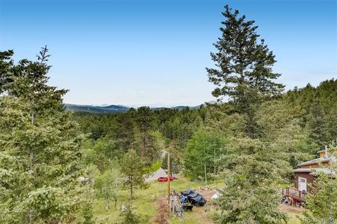 488 Pine Dr, Bailey, CO 80421 photo 26