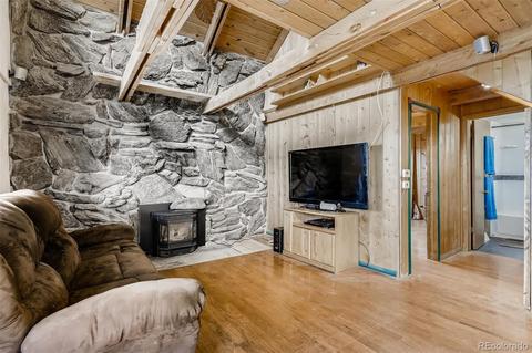 488 Pine Dr, Bailey, CO 80421 photo 3