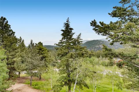 488 Pine Dr, Bailey, CO 80421 photo 25