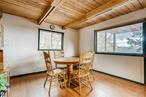 488 Pine Dr, Bailey, CO 80421 photo 7