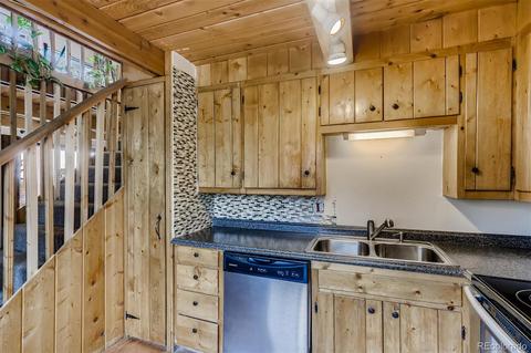 488 Pine Dr, Bailey, CO 80421 photo 11