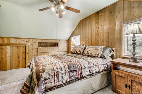 488 Pine Dr, Bailey, CO 80421 photo 15