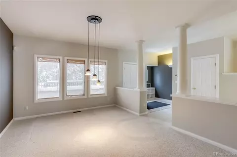 391 N Ogden St, Denver, CO 80218 photo 10