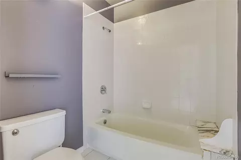 391 N Ogden St, Denver, CO 80218 photo 18