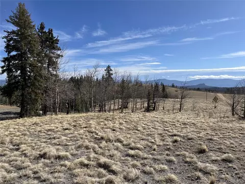 325 Shoshone Dr, Como, CO 80456 photo 11