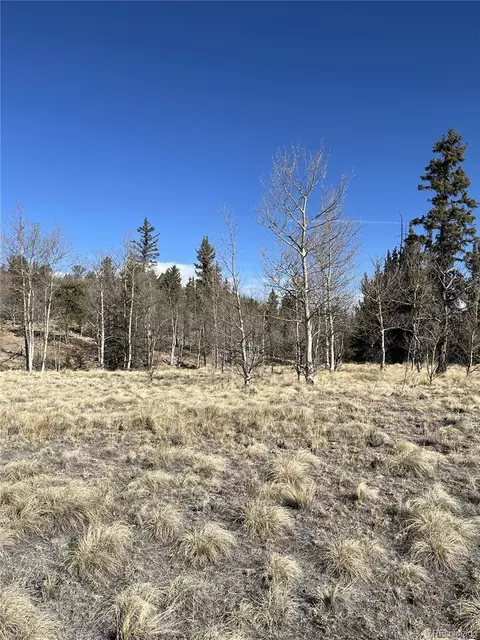 325 Shoshone Dr, Como, CO 80456 photo 2