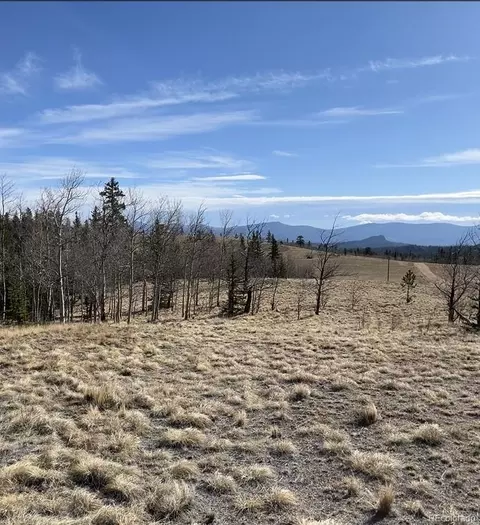 325 Shoshone Dr, Como, CO 80456 photo 6
