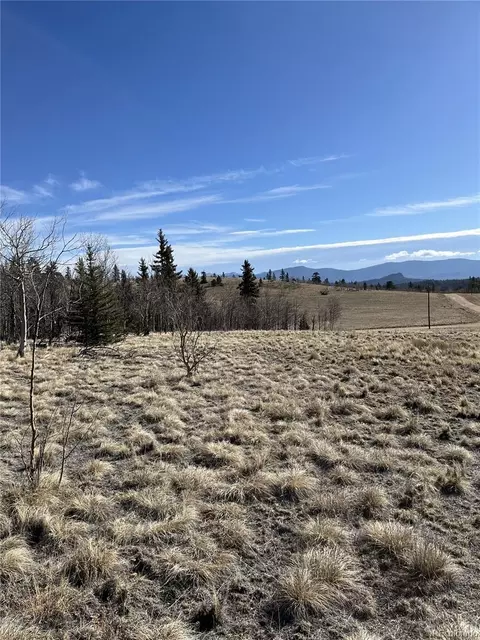 325 Shoshone Dr, Como, CO 80456 photo 15
