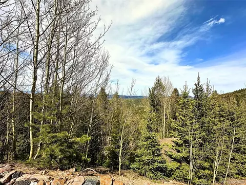10518 Christopher Dr, Conifer, CO 80433 photo 50
