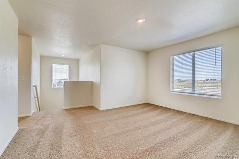 1082 Long Meadows St, Severance, CO 80550 photo 16