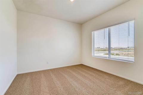 1082 Long Meadows St, Severance, CO 80550 photo 8