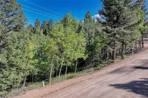 282 Pinon Lake Dr, Divide, CO 80814