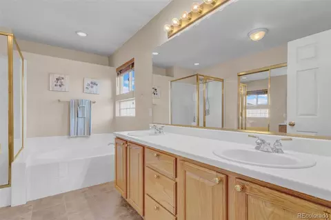 Bath - 20180 E 43rd Pl, Denver, CO 80249 photo 3 of 4