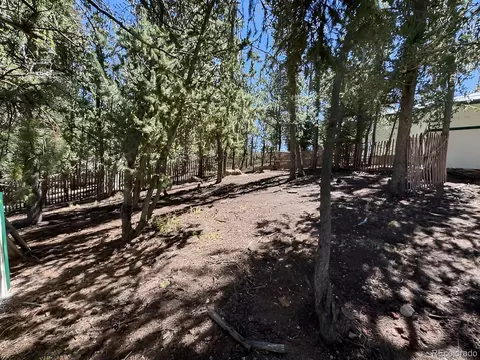 Exterior - 503 Buffalo Ridge Rd, Como, CO 80456 photo 5 of 11