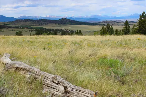 198 Baler Ct, Hartsel, CO 80449