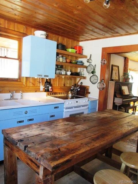 16914 S 7th St, Pine, CO 80470 photo 13
