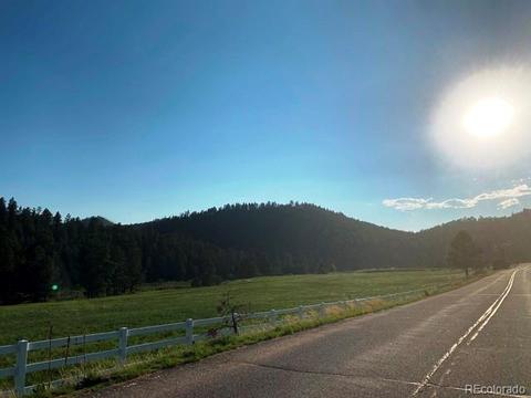 16914 S 7th St, Pine, CO 80470 photo 32