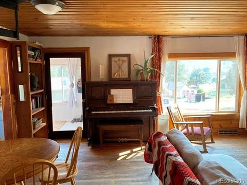 16914 S 7th St, Pine, CO 80470 photo 9