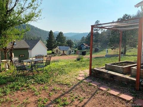 16914 S 7th St, Pine, CO 80470 photo 4