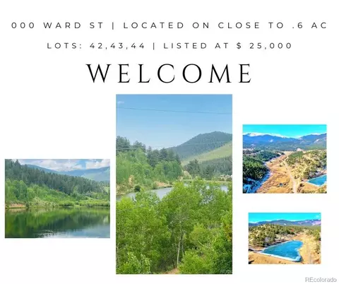 000 Ward, Bailey, CO 80421