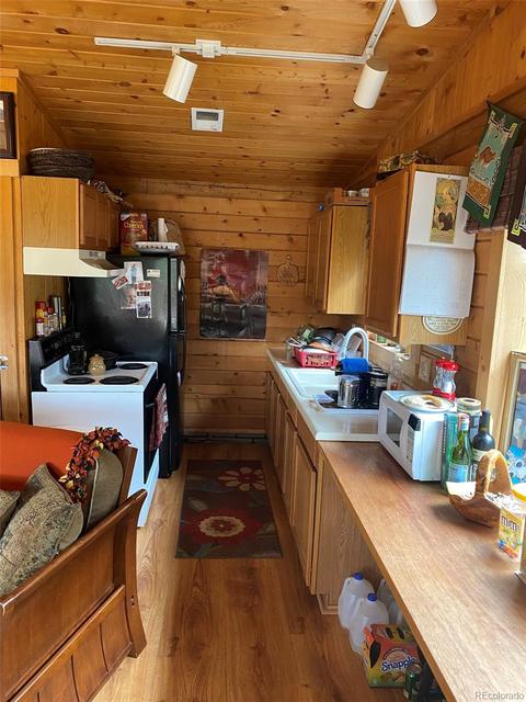 1494 Clark Rd, Bailey, CO 80421 photo 6