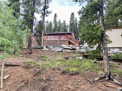 1494 Clark Rd, Bailey, CO 80421 photo 24
